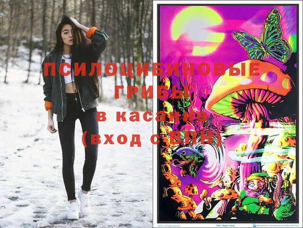 тгк Алзамай