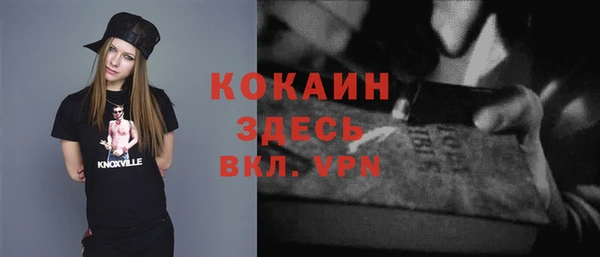тгк Алзамай