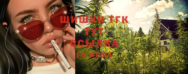 спайс Алексин