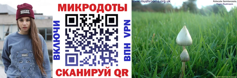 Псилоцибиновые грибы GOLDEN TEACHER  хочу наркоту  Рошаль 